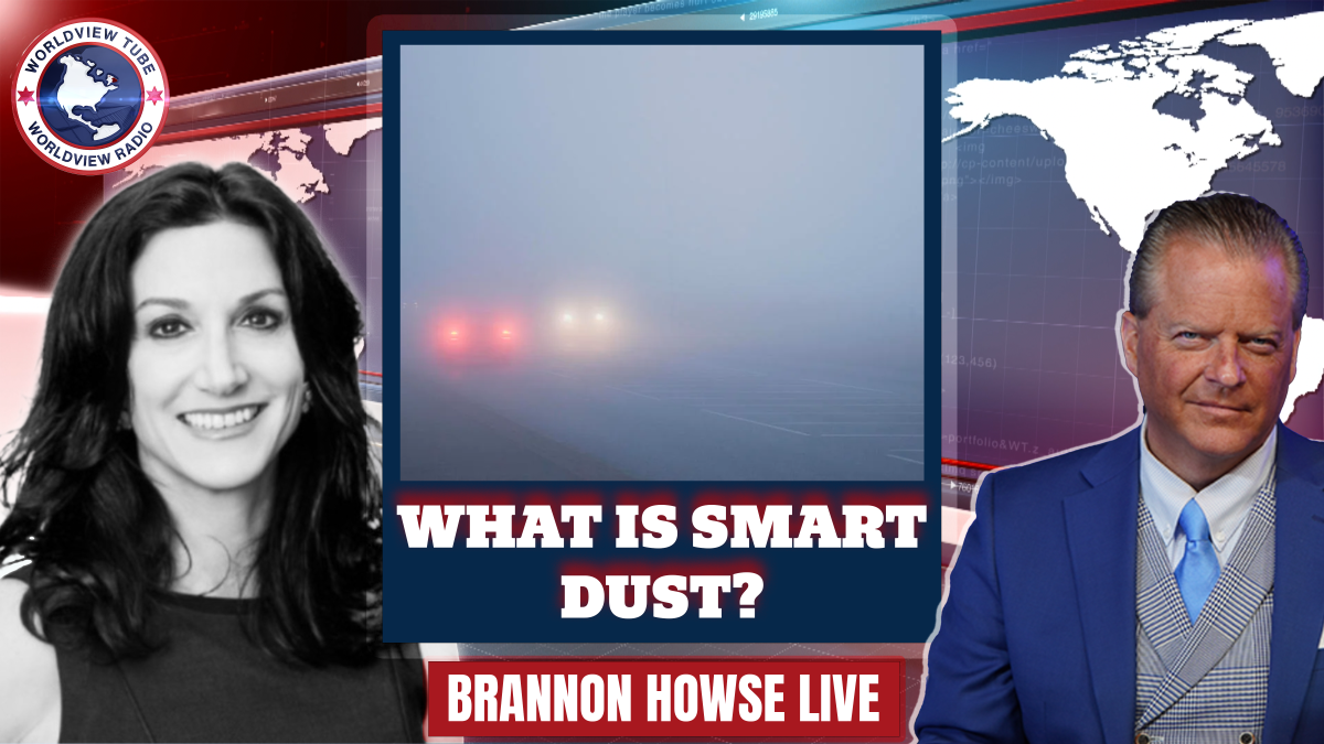 Is Smart Dust Falling in American Cities and What Exactly is Smart Dust?  | WorldviewTube