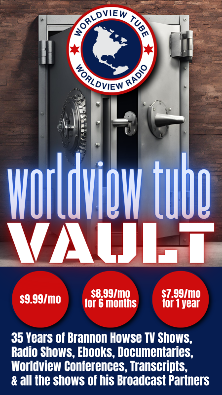 WorldviewVault Sidebar Banner